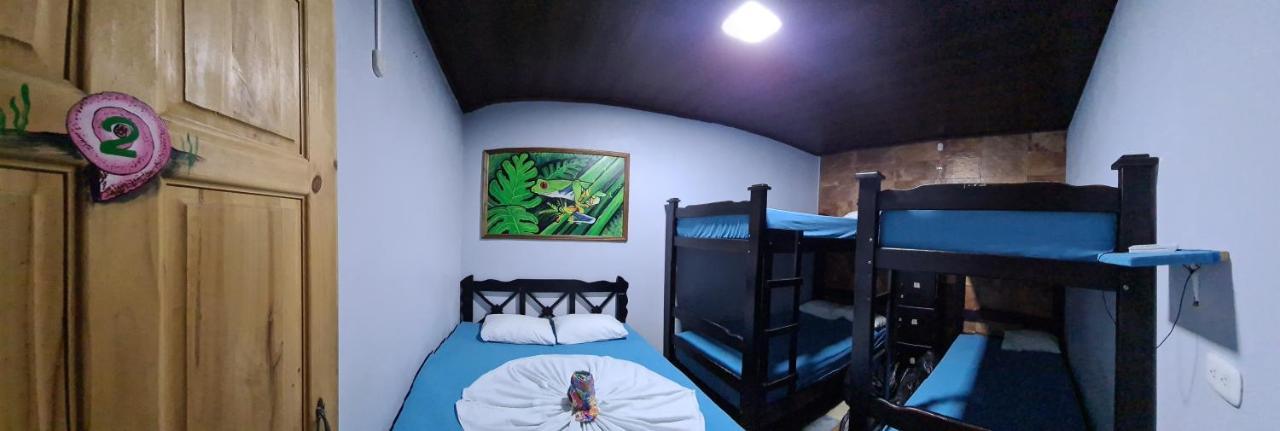 Hostel Tortuguero 7Backpackers Exterior photo