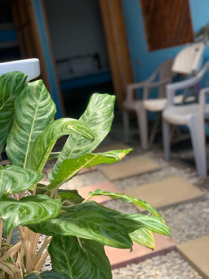 Hostel Tortuguero 7Backpackers Exterior photo