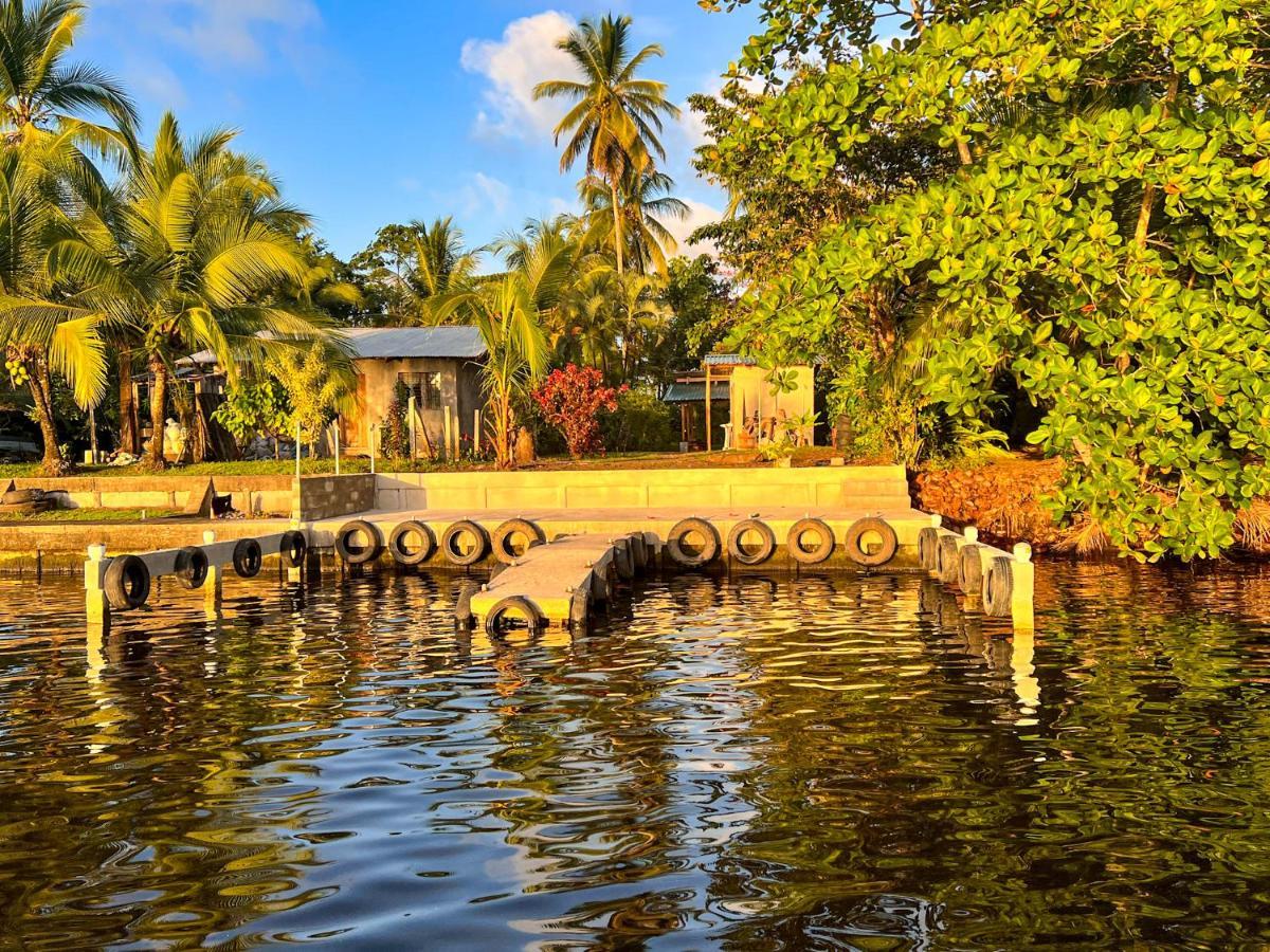 Hostel Tortuguero 7Backpackers Exterior photo