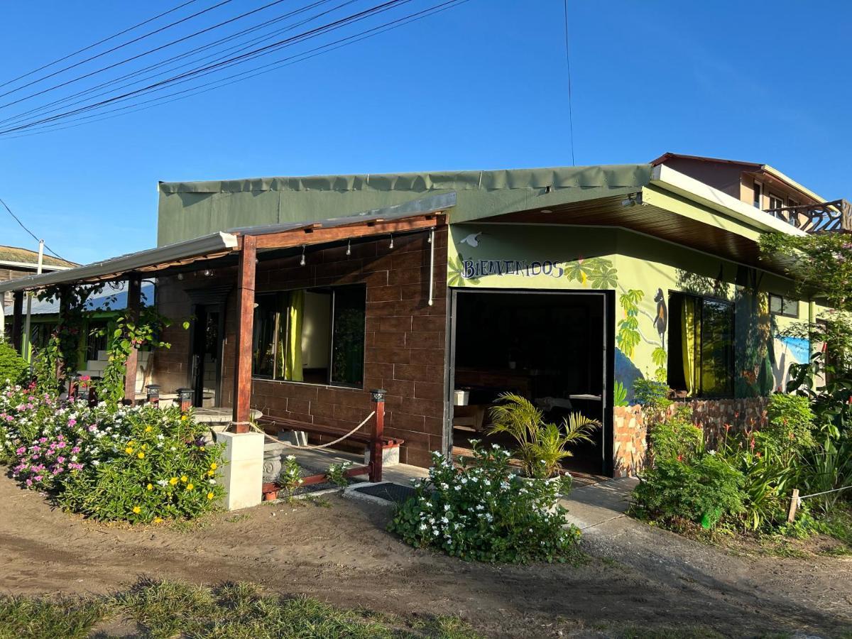 Hostel Tortuguero 7Backpackers Exterior photo