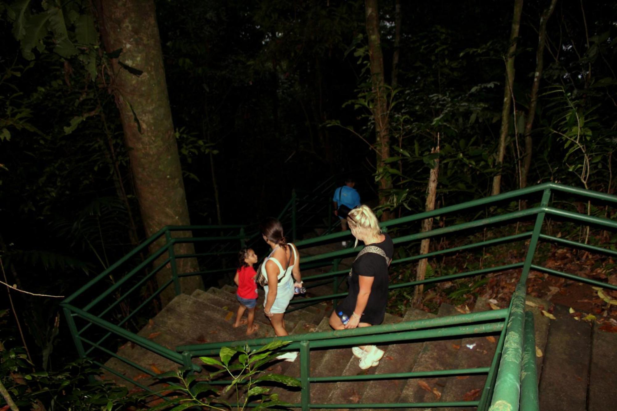 Hostel Tortuguero 7Backpackers Exterior photo